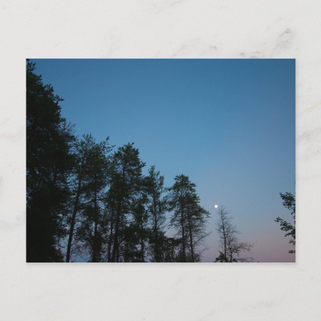 Postal Evening Sky Over Elk Lake, Michigan (Anverso)