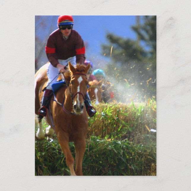 Postal Eventing Postcard (Anverso)