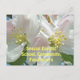 Postal Eventos Especiales Escuela Fundraisers Florales de