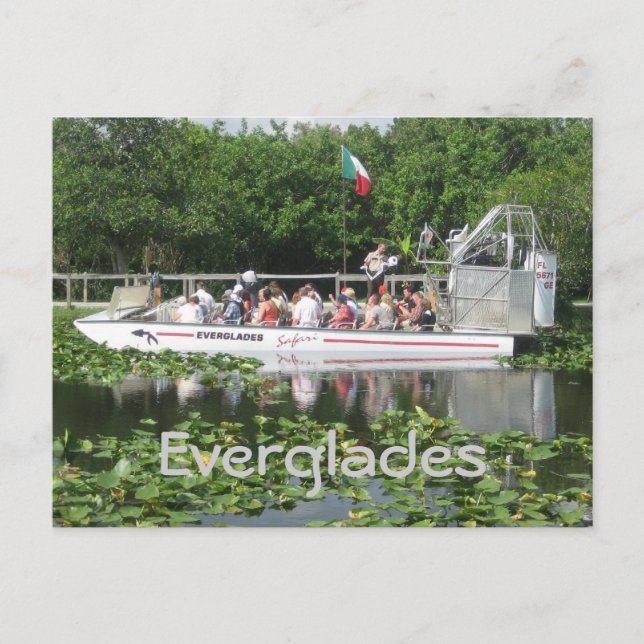 Postal Everglades (Anverso)