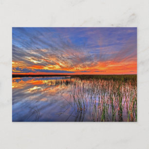 Postal Everglades de Florida