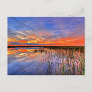 Postal Everglades de Florida