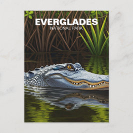 Postal Everglades Florida Alligator Travel
