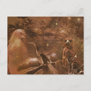 Postal Everglades - Parque Nacional de Florida