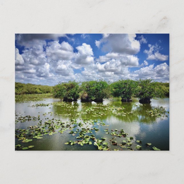 Postal Everglades, Parque Nacional, Florida (Anverso)