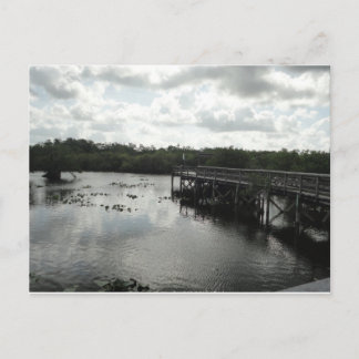 Postal Everglades Postcard