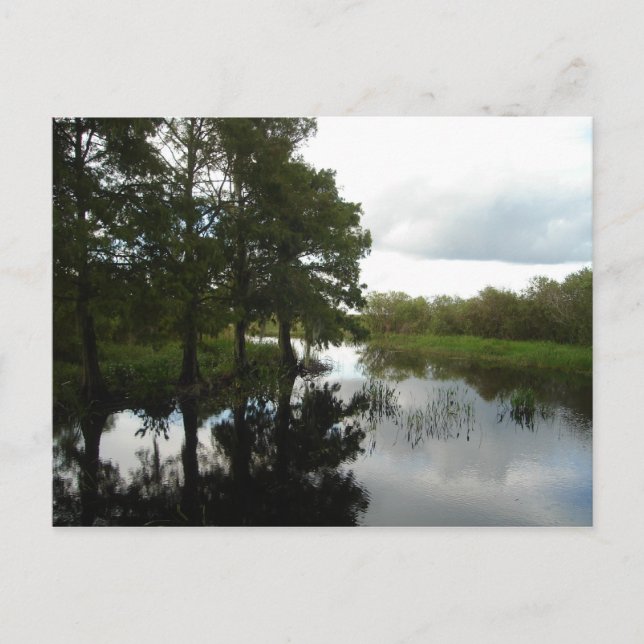 Postal Everglades Waterway (Anverso)