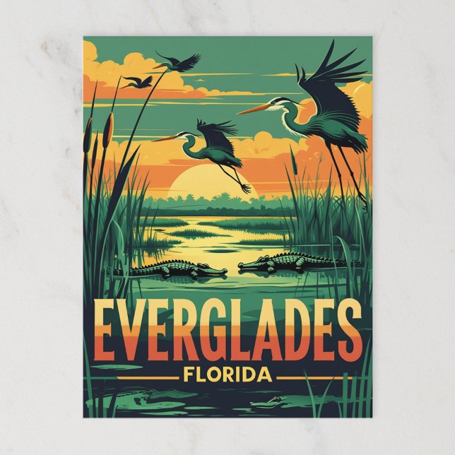 Postal Everglades Wildlife Sunset (Subido por el creador)