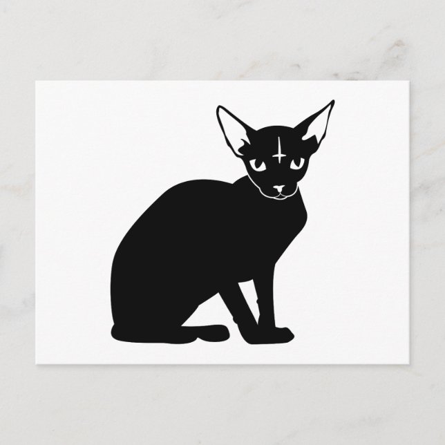 Postal Evil Kitty (Anverso)