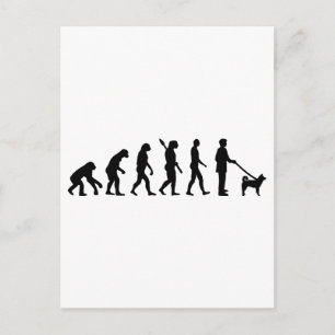 Postal Evolución de Akita