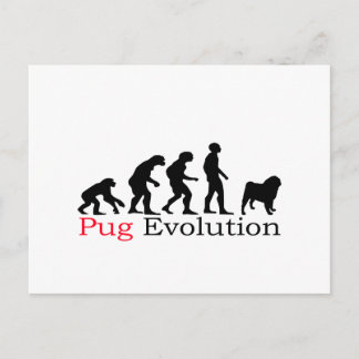 Postal Evolución de Pug