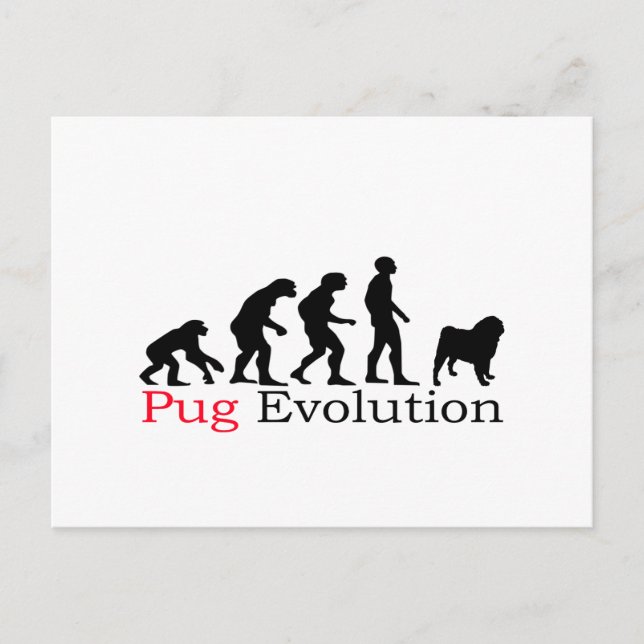 Postal Evolución de Pug (Anverso)