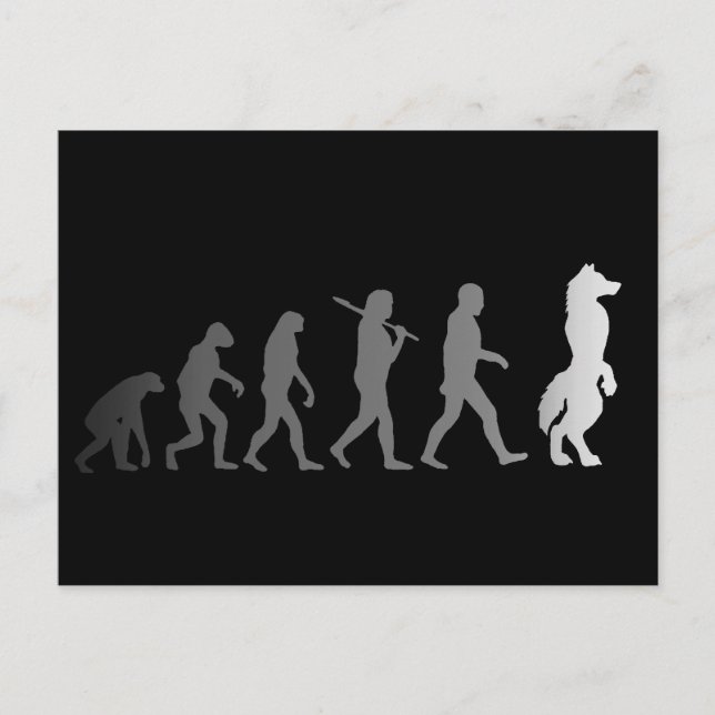 Postal Evolución del furor (Anverso)