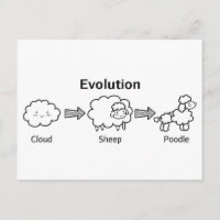 Evolución divertida de la nube en ovejas y caniche
