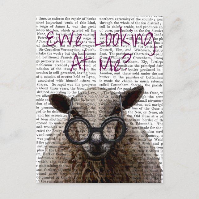 Postal Ewe Looking Me DeNiro Sheep 2 (Anverso)