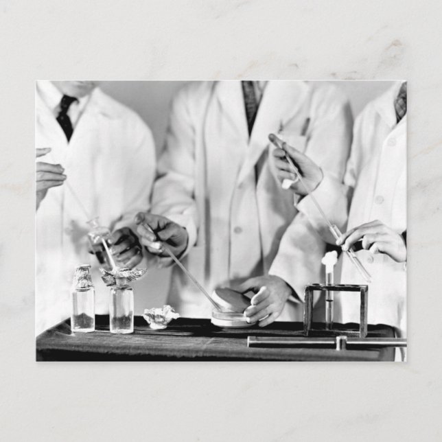 Postal Examen del agua para bacterias (Anverso)