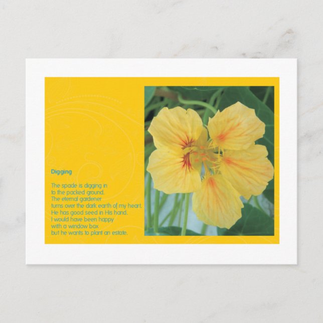 Postal excavación (Anverso)