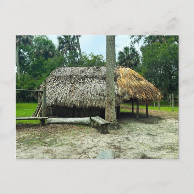 Postal Exhibiciones de indios Timucua (Anverso)