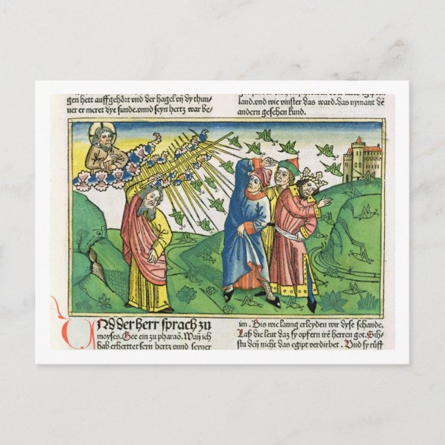 Postal Éxodo 10:1-20 Las siete plagas de Egipto: el plan (Anverso)