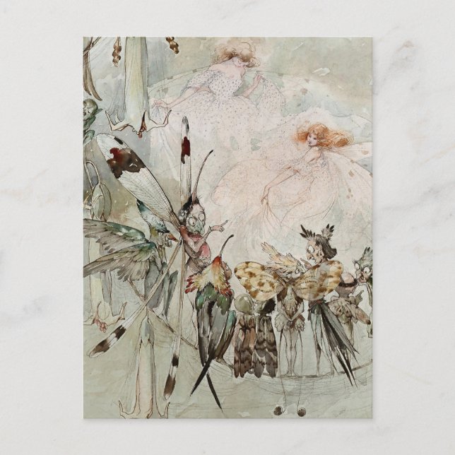 Postal "Exóticos en juego" por A Duncan Carse (Anverso)