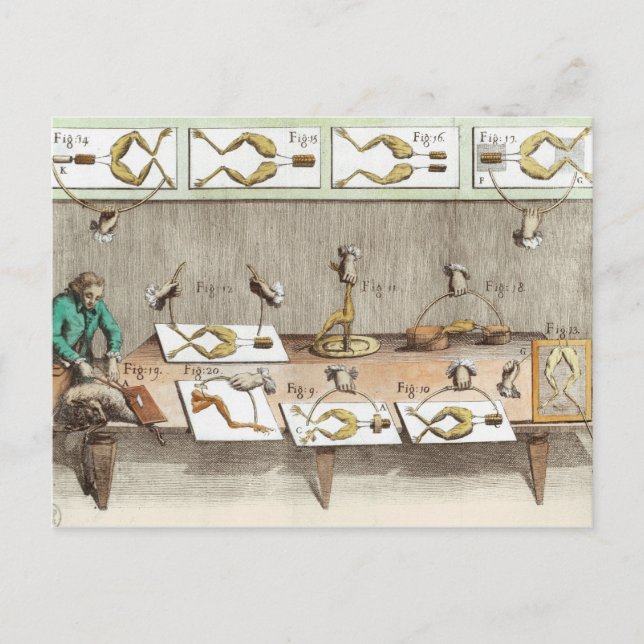 Postal Experimento sobre ranas (Anverso)