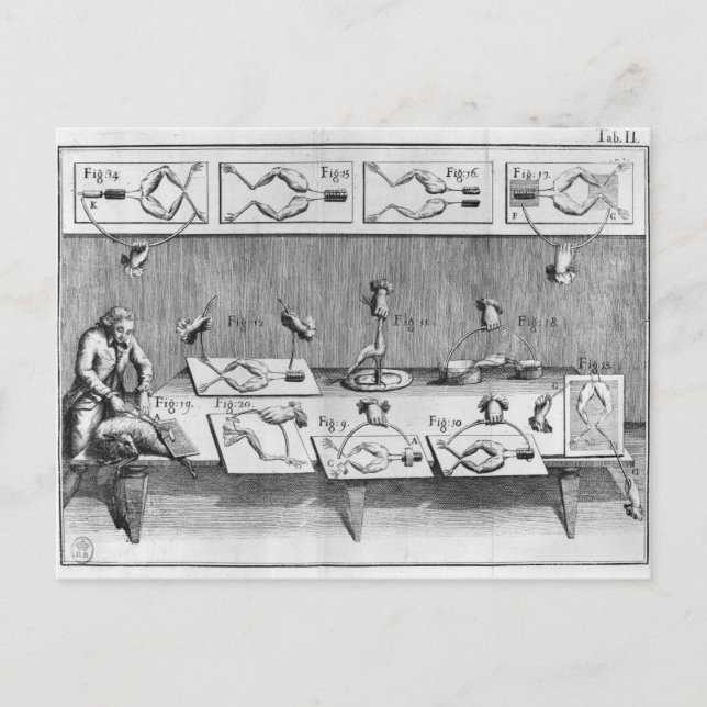 Postal Experimento sobre ranas (Anverso)