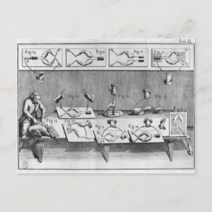 Postal Experimento sobre ranas