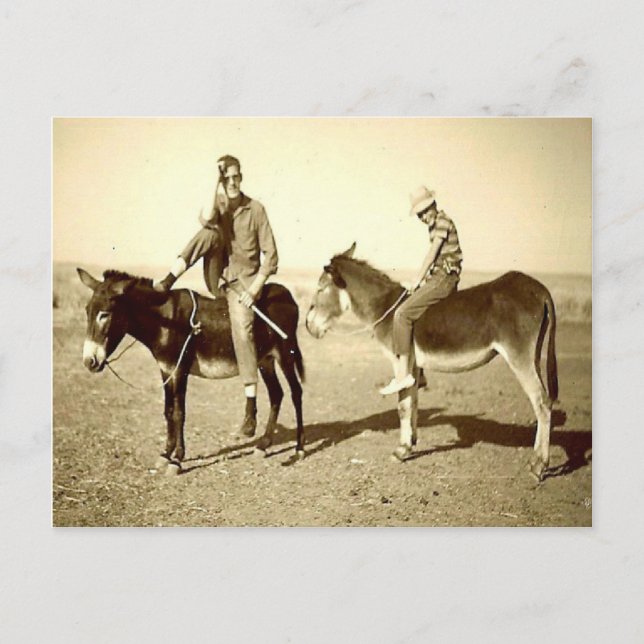 Postal Exploraciones de Argelia antiguas en un burro (Anverso)