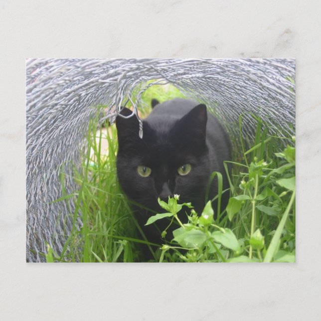 Postal Explorar (Anverso)