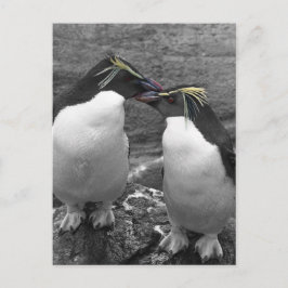 Postal Explosión de color de pingüino