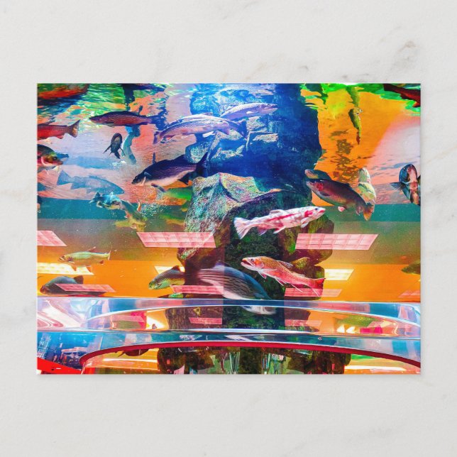 Postal Exposición de Acuario Colorida con Peces (Anverso)