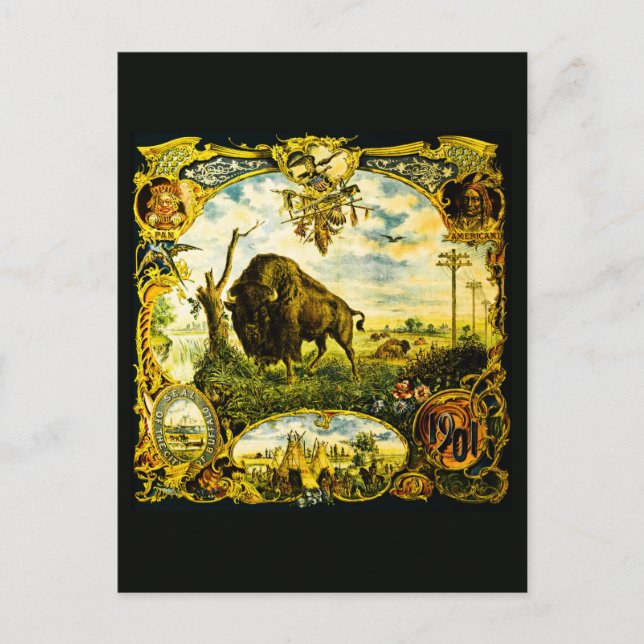 Postal Exposición de Pan Am con Motivos de Bisonte y Nati (Anverso)