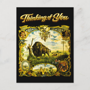 Postal Exposición Panamericana 1901 Buffalo NY Pensando e