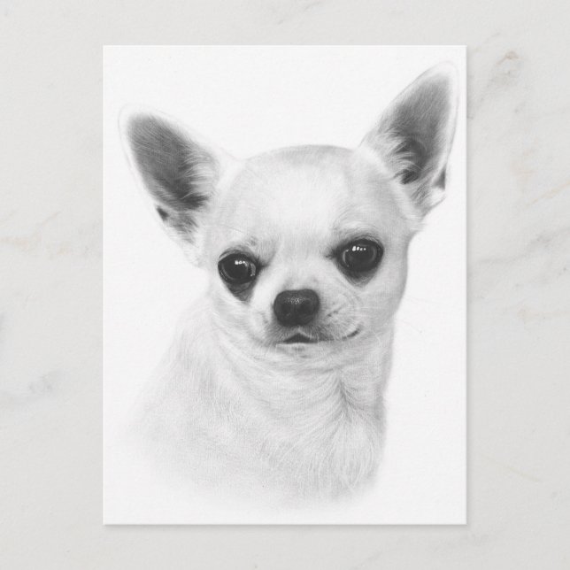 Postal Expresión de Chihuahua pintada a mano (Anverso)