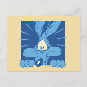 Postal Expresión de Shock de WILE E. COYOTE™
