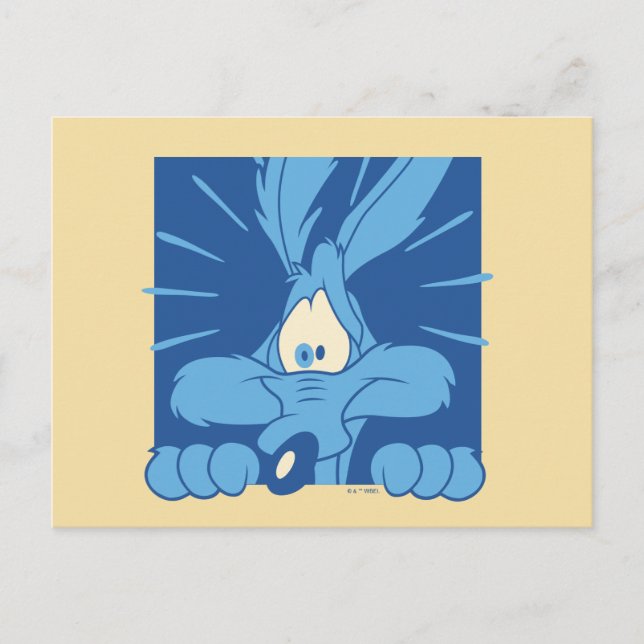 Postal Expresión de Shock de WILE E. COYOTE™ (Anverso)