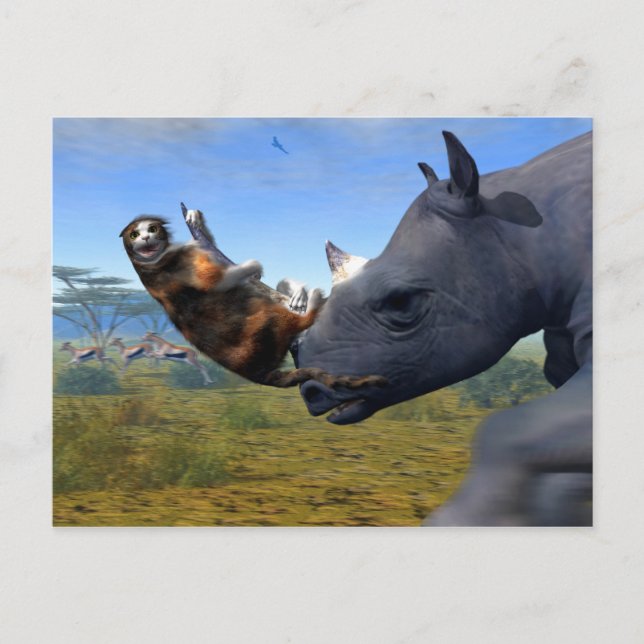 Postal Expreso de Kalahari (Anverso)