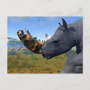 Postal Expreso Kalahari