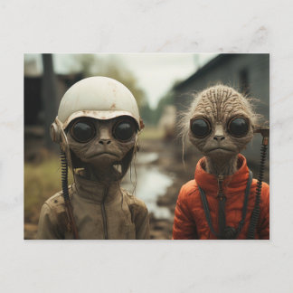 Postal Extranjeros en la puerta de al lado: gatos extraño