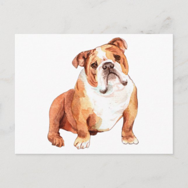 Postal Extraño Bulldog británico divertido (Anverso)
