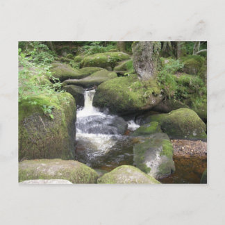 Postal extro 2009 105