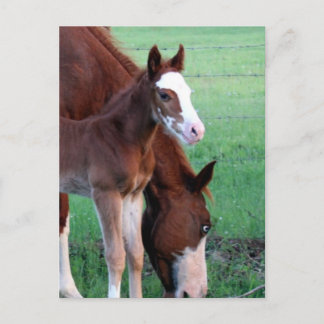 Postal ¡Ey, mírame!