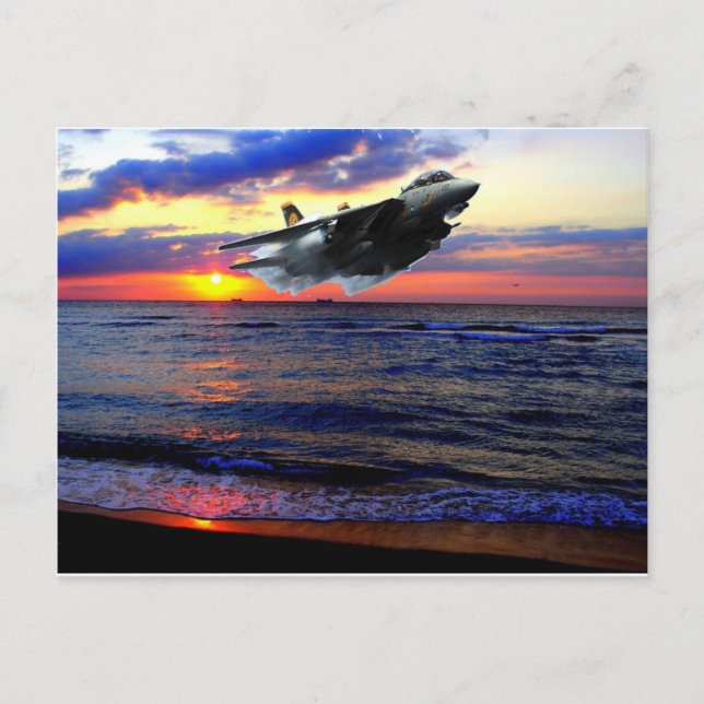 POSTAL F-14 TOMCAT (Anverso)