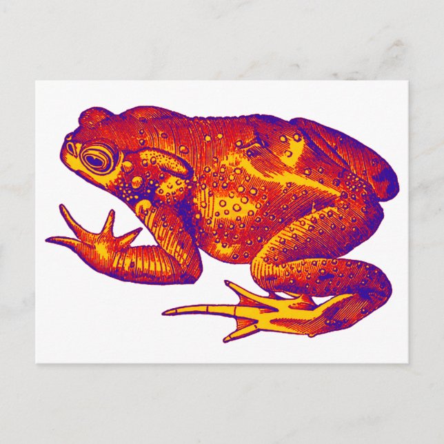 POSTAL FÁCIL. (Anverso)