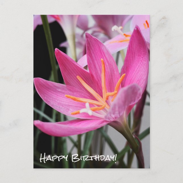 Postal Fairy Lily Birthday Wire Postcard (Anverso)