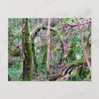 Postal Fairy Portal - Rio de Mouros - Conímbriga - PT