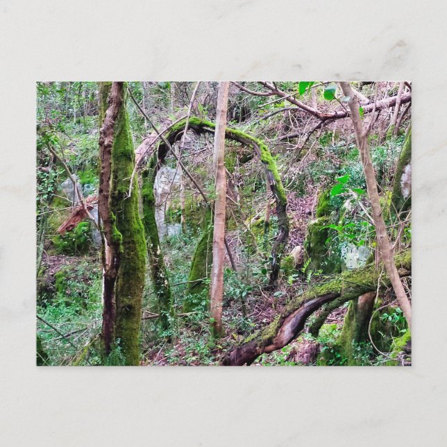 Postal Fairy Portal - Rio de Mouros - Conímbriga - PT (Anverso)