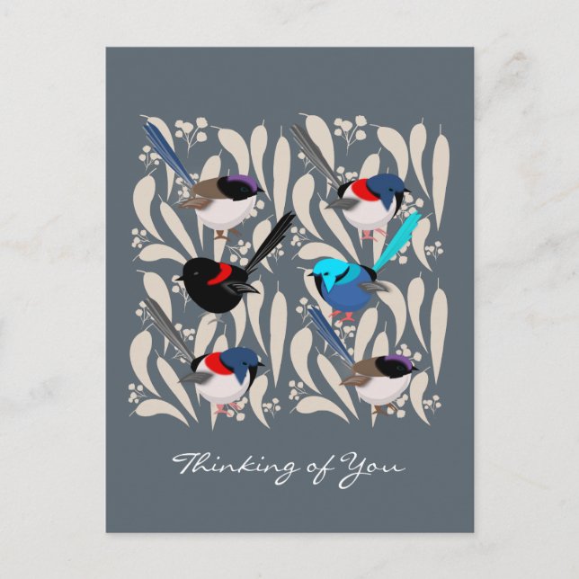 Postal Fairy Wrens (Anverso)