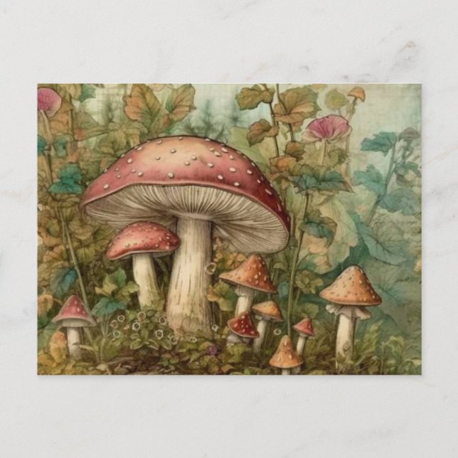 Postal Fairytale Mushrooms (Anverso)