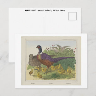 Postal FAISÁN Joseph Scholz, 1829 - 1880